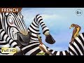 Zippy the Zebra: Learn French with subtitles - Story ...