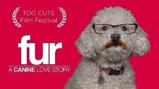 For Your Consideration: FUR