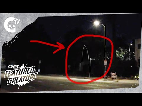 DAVE LIVE | Featured Creature | Short Film