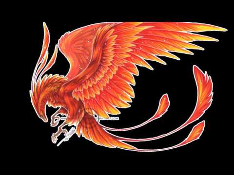 Phoenix Roars