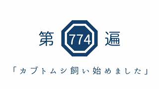 第774遍 「カブトムシ飼い始めました」