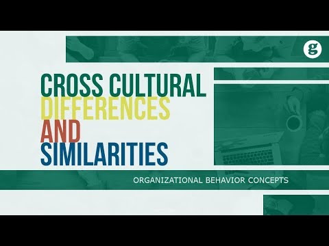 What is Organizational Behavior