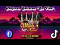 Mujeres Solteras En Vivo .- Los Reyes Del Sabor 🔥