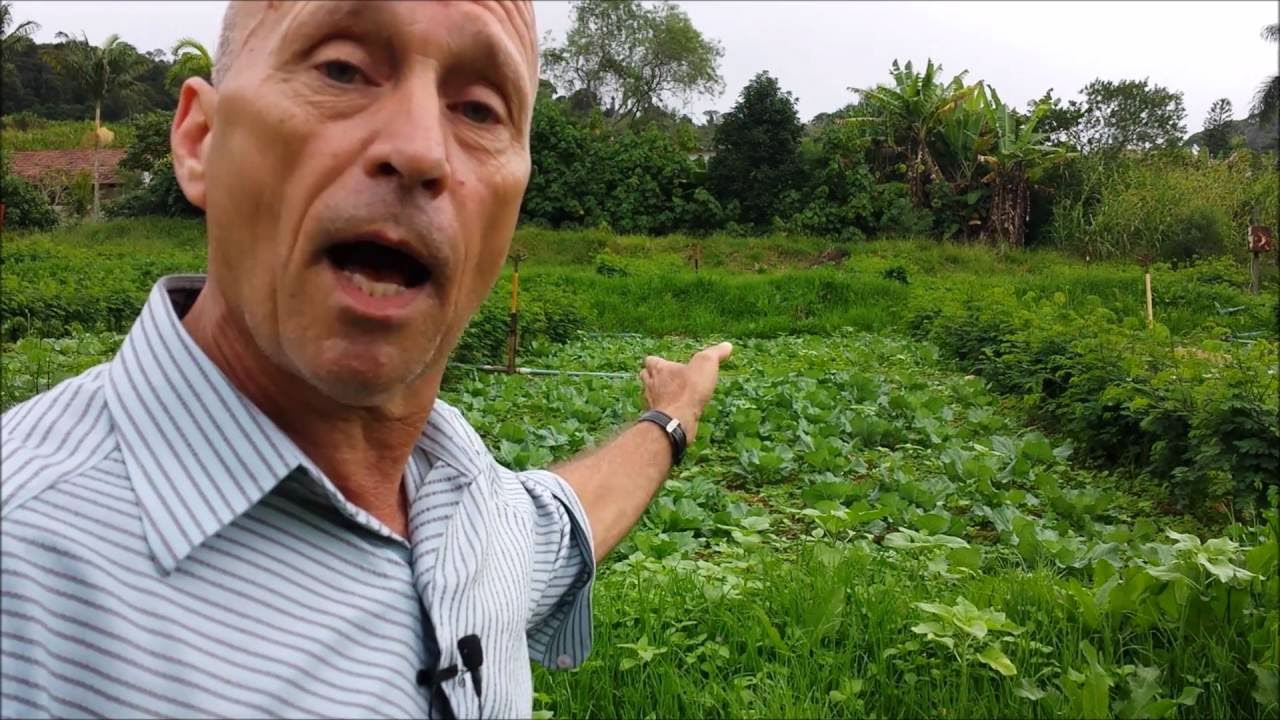 Produção de hortaliças com recursos internos da propriedade