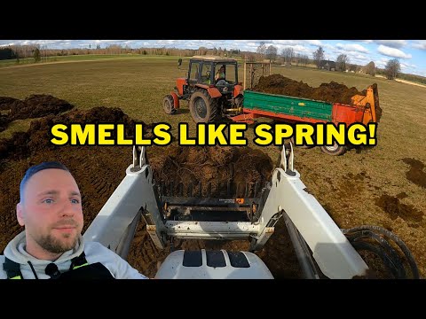 Indovina chi è tornato... con il lavoro più sporco della fattoria!