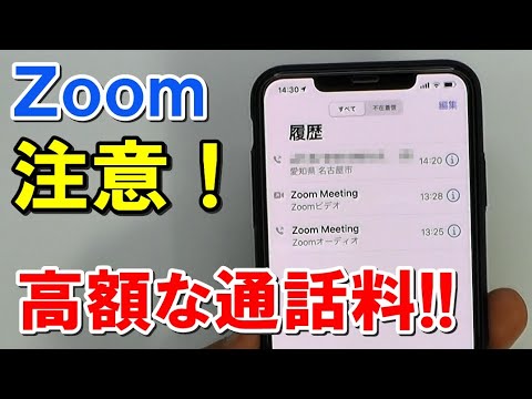 Zoom の費用の概要: Zoom の料金はどのくらいですか?