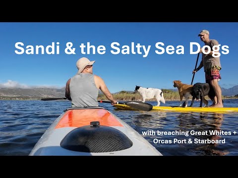 SURFSKI is LIFE: Sandi and the Salty SeaDogs