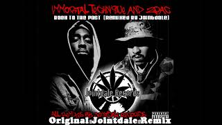 Immortal Technique Ft. 2Pac - Leaving the past ( Jointdale Remix )