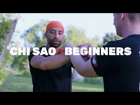 Chi Sao For Wing Chun Beginners