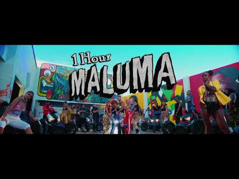 Maluma Hp 1 Hour Loop