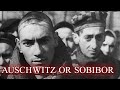 Genocide of Jews in Poland | The Abyss Ep. 8 | Full Documentary