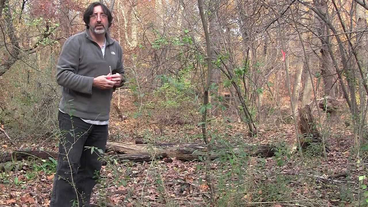 The Lost Art of Finding Our Way – John Edward Huth