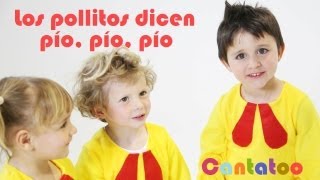 Los Pollitos dicen pio, pio, pio - canciones infantiles Cantatoo