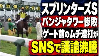 パンジャタワー惨敗…ゲート前のムチ連打がSNSで話題に　スプリンターズステークス2026