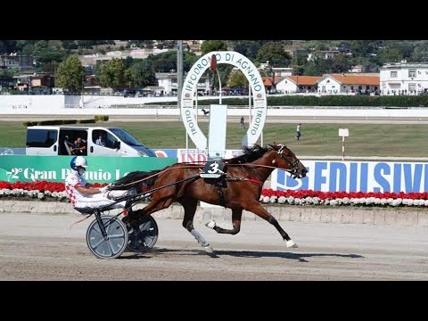 DOMITILLAB VINCE IL CRITERIUM NAPOLETANO FILLY DELLE 2 ANNI - IPPODROMO AGNANO 03/10/2021