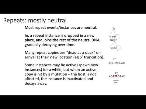 MCB 182 Lecture 1.4 - Review - Repetitive sequences