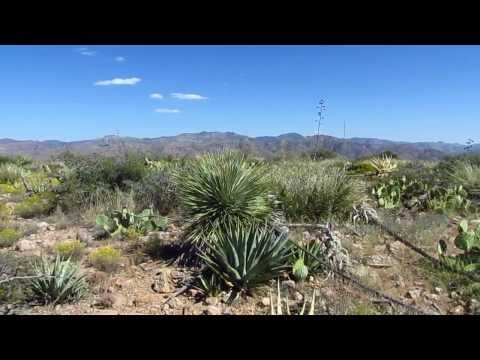 2013-10-04 - Music Mountain summit panorama