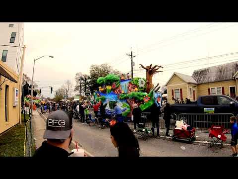Mardi gras 2020 Time Lapse