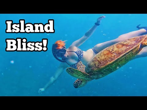 Unplugged and Recharged in Rarotonga!