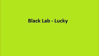 Black Lab - Lucky