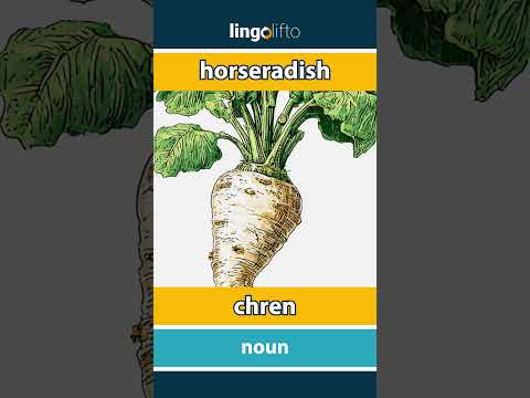 🇬🇧🇸🇰 horseradish - chren : learn English : naučme sa anglicky : vocabulary builder