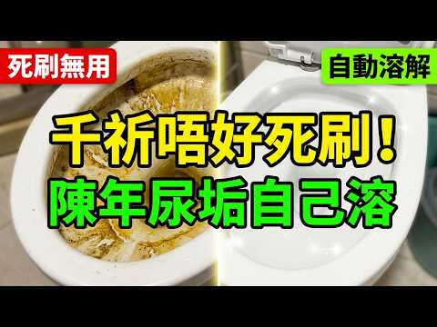 【生活小館】馬桶黃漬千祈唔好死刷！用廚房4樣家常嘢，陳年尿垢自己溶，唔使亂買潔廁劑！#家居清潔 #馬桶清潔 #廚房小妙招 #生活竅門 #粵語生活
