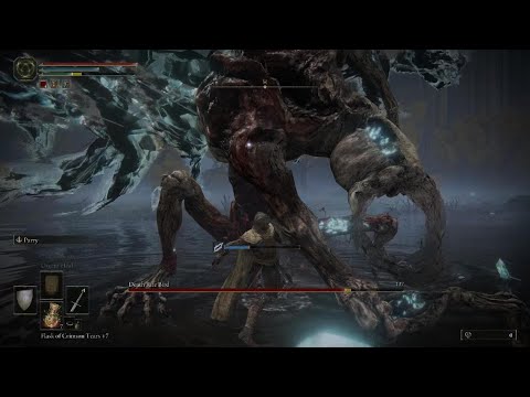 Elden Ring - Death Rite Bird Boss Fight