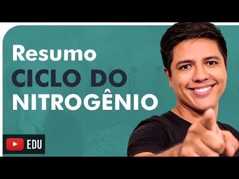 NITROGEN CYCLE - ENEM SUMMARY - Prof. Kennedy Ramos