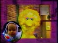 Big Bird Baby Bear From Sesame Street On The Oprah Winfrey Show