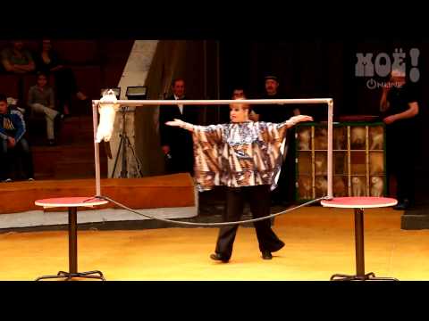 Уникальная дрессировщица в Воронеже: «Захожу в клетку к тиграм без капли страха,...