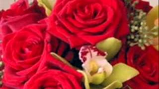 20 rosas   Angeles azules