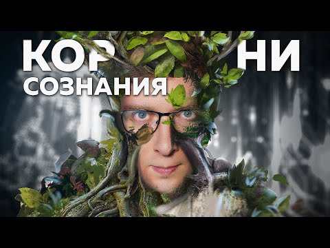 Проблема сознания РАСТЕНИЙ: последние открытия | Безумные научные идеи #3