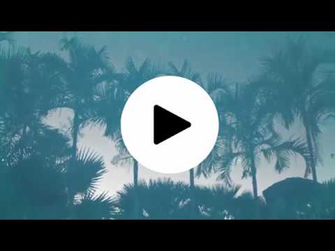 Martiora Freedom - Positive Mind Ft. Alfaro FMS (Audio Officiel)