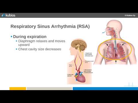 Overview of Respiratory Sinus Arrhyhtmia RSA