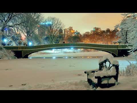 Love Theme From Love Story (Finale)