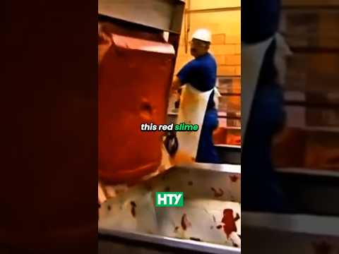 The Truth About Ketchup 🍅🥫