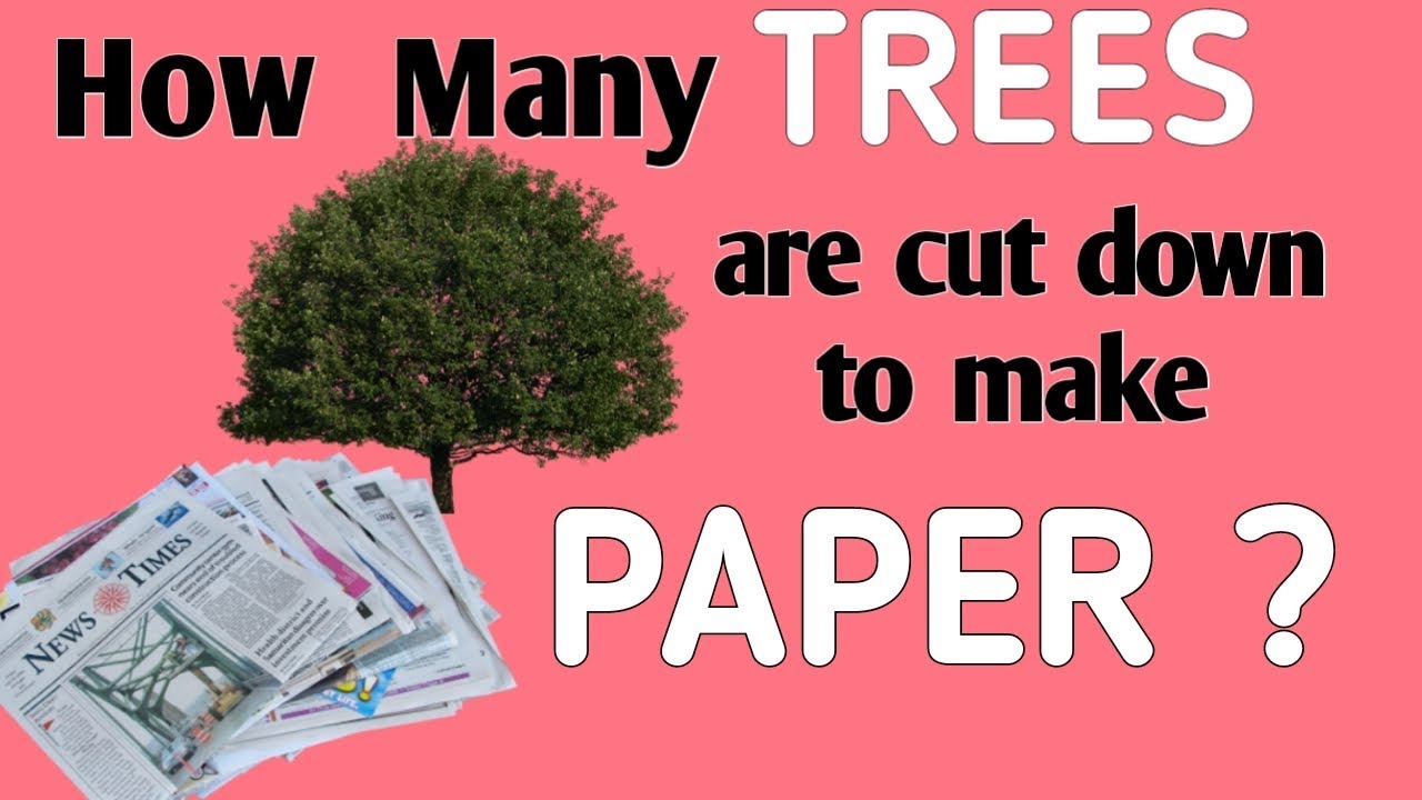 How many trees are cut down for a single sheet of paper?