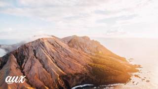 Blossoms - Honey Sweet