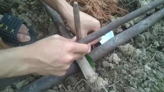 Cách Tạo Lửa Từ Củi