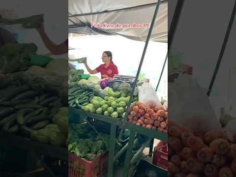 Feira livre de pombos PE