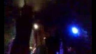 Breed 77 - Individuo