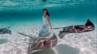 Acaso (No Tomorrow) * Jane Monheit  &amp; Ivan Lins