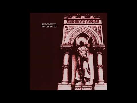 Human Insect, ÅNTÆGØNIST - New Breeds After Hybridization (Original Mix)