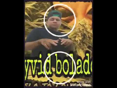 Deivid Bolado "ELA TÁ LOUCA" Cara Legal