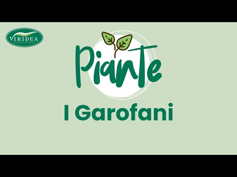 Come liberarsi da parassiti in passaggio posteriore Fare prove per rivelare parassiti in un organismo