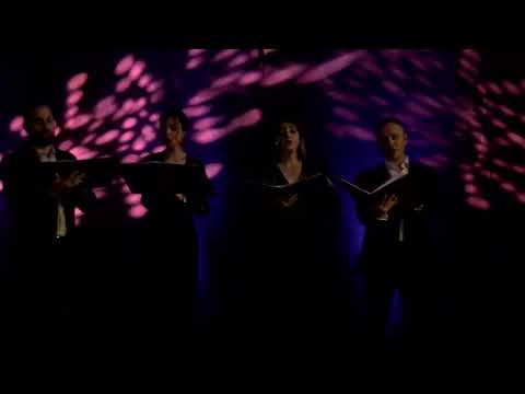 Grupul Vocal Synavlia - Noel nouvelet,  arr. Audrey Snyder