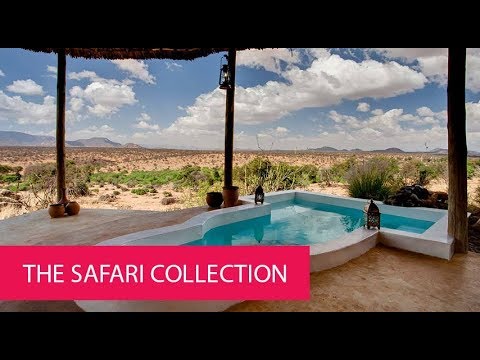 The Safari Collection
