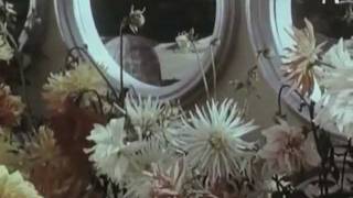 Polarius - Apollo Park (Creme 12-05, 2002)
