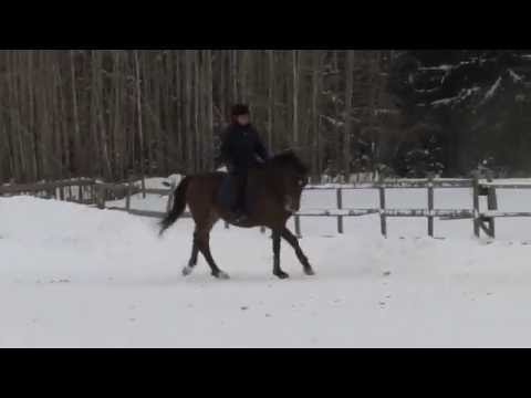 Hoppis - Mika Malaskan ratsutus 22.12.12