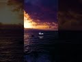 Kahani Lal Singh Chadda Status Whatsappstatus Lovesongs Lalsinghchaddha Lalsinghchadda